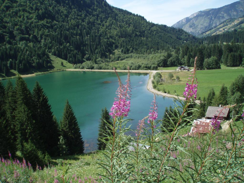 Le Clos Des Fontaines, A 5 Mn Du Lac تونو لي با المظهر الخارجي الصورة