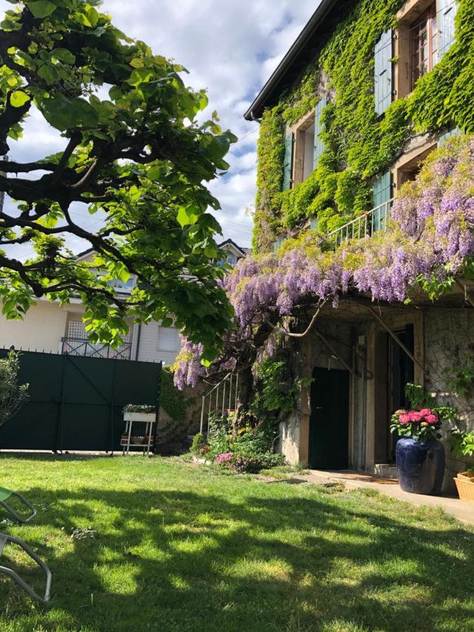 Le Clos Des Fontaines, A 5 Mn Du Lac تونو لي با المظهر الخارجي الصورة